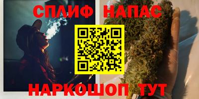 jwh Будённовск