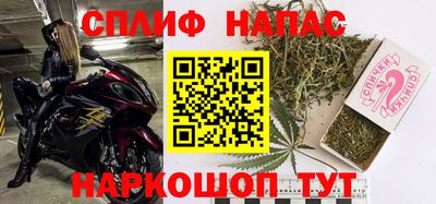 jwh Будённовск