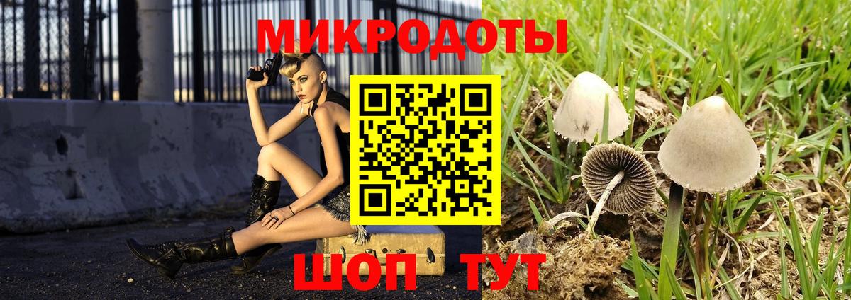 купить  сайты  Галлюциногенные грибы ЛСД  Вход с VPN  Уссурийск  Псилоцибиновые грибы Cubensis 