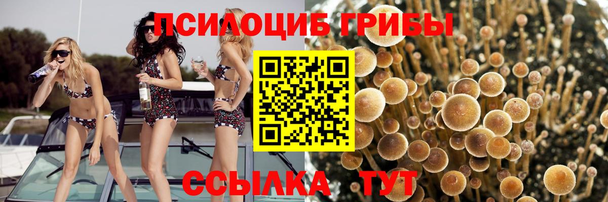 Галлюциногенные грибы прущие грибы Уссурийск